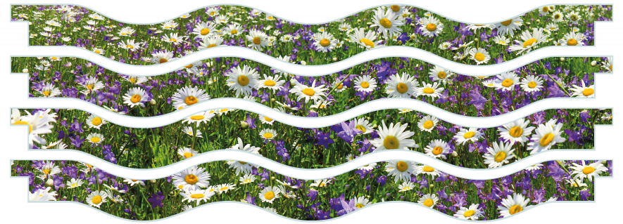 Planken > Golvende plank x 4  > Voorjaarsbloemen