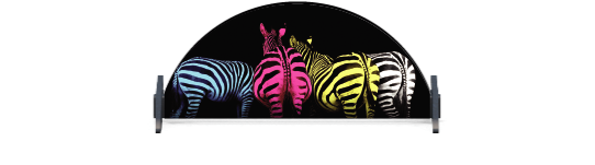 Onderzetters hindernissen speciaal > Halfrond onderzetbord > Gekleurde Zebra's