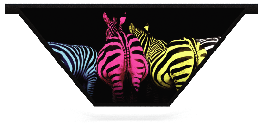 Onderzetters hindernissen > V-vorm hanghek > Gekleurde Zebra's