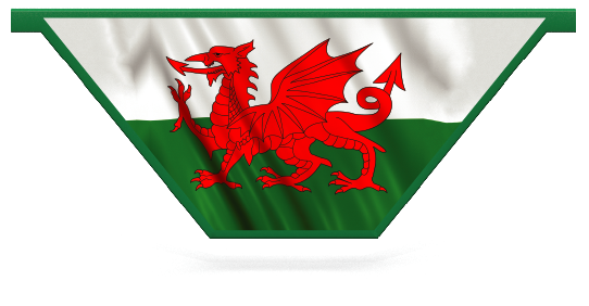 Opvulling hindernissen > V-vorm hanghek > Wales Vlag